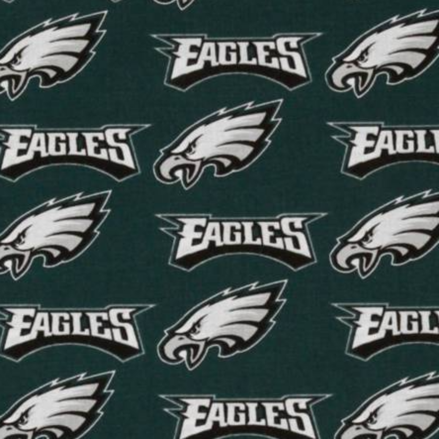 Philadelphia Eagles Fabric Swatch